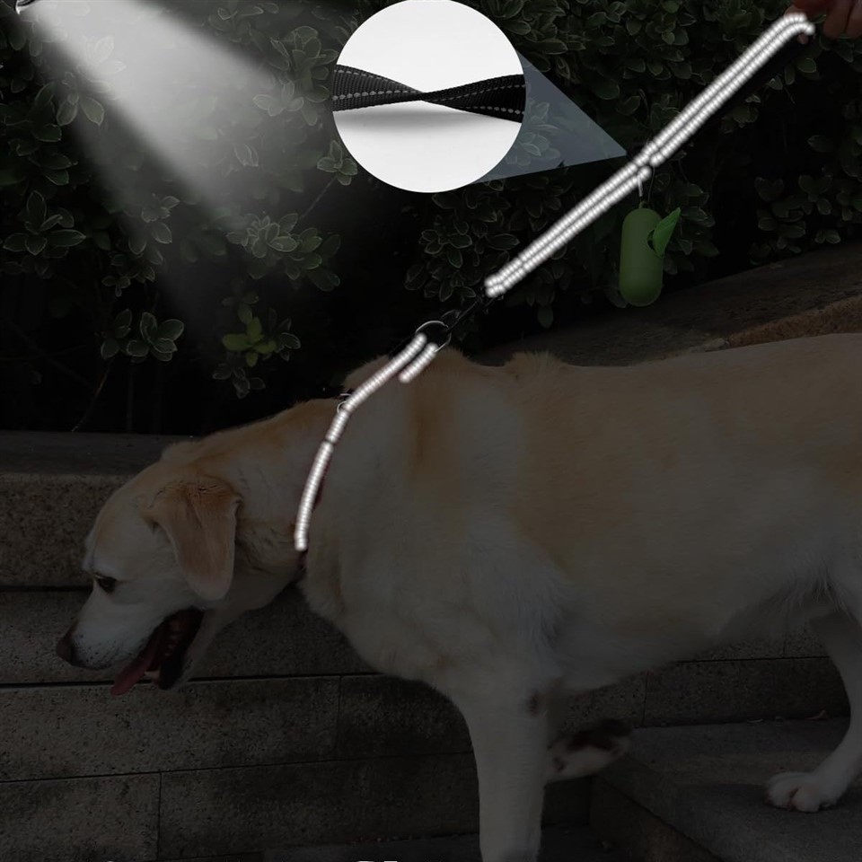 Dog Traffic Lead factory